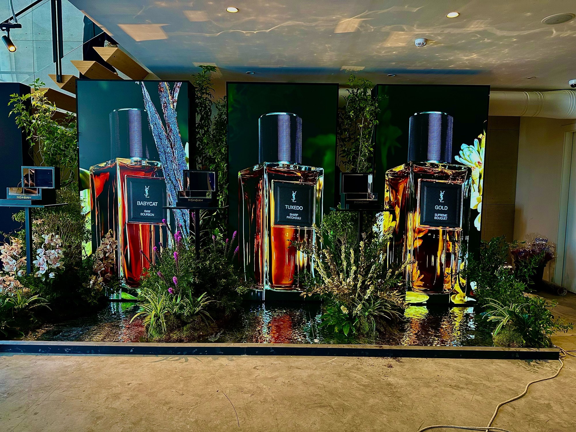 YSL