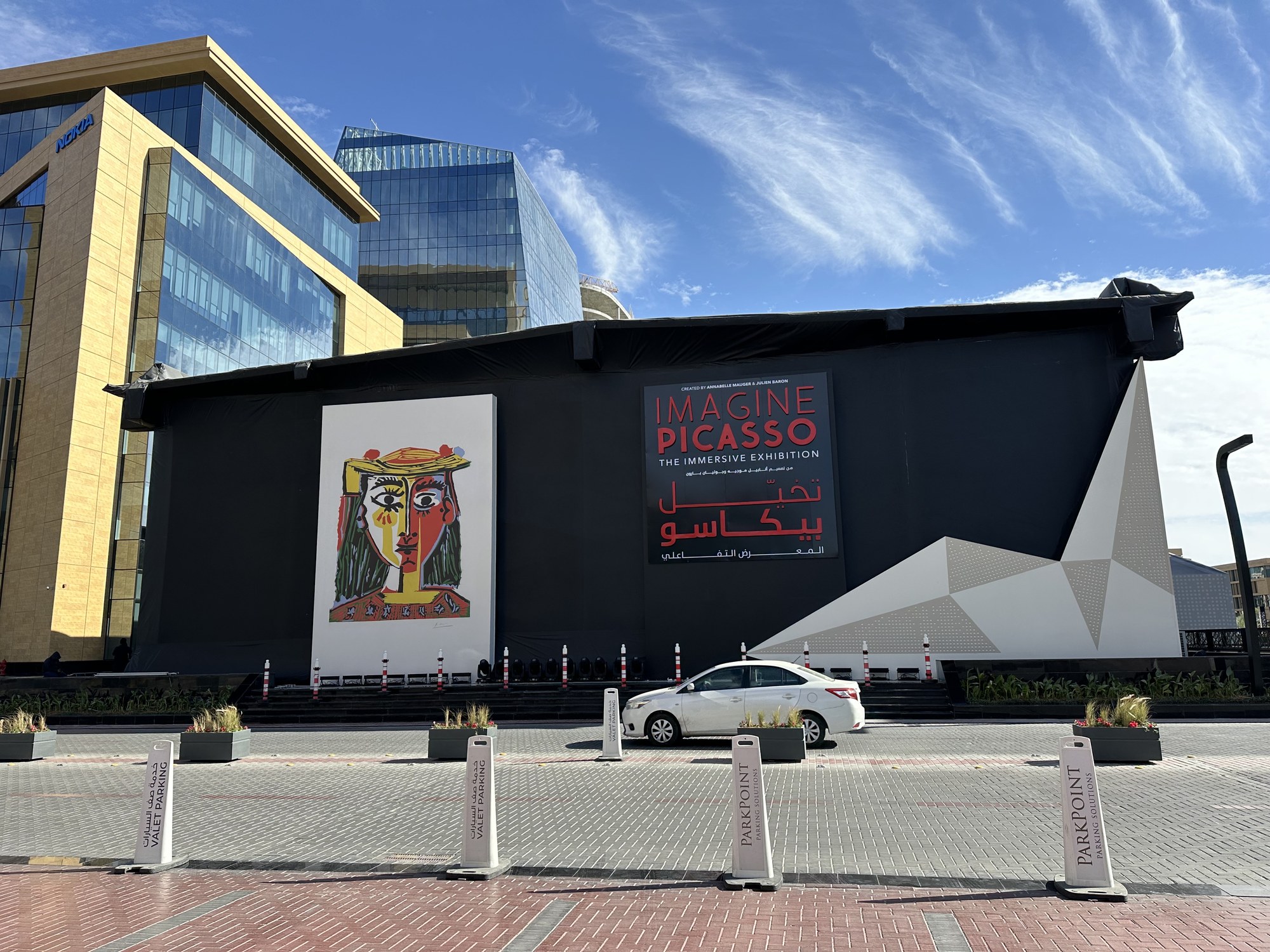 Imagine Picasso Immersive Exhibition